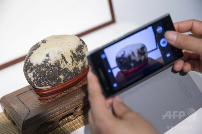 石が語る古典『紅楼夢』がテーマ 山西・太原で展示会