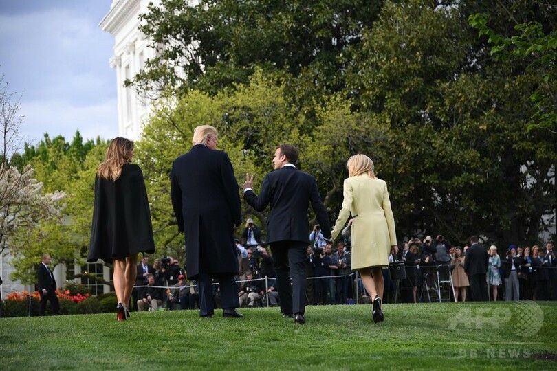 米仏大統領が仲良く植樹した苗木はどこに消えた？