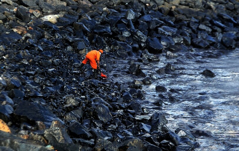 インド沿岸で石油流出、ウミガメの営巣活動への影響懸念