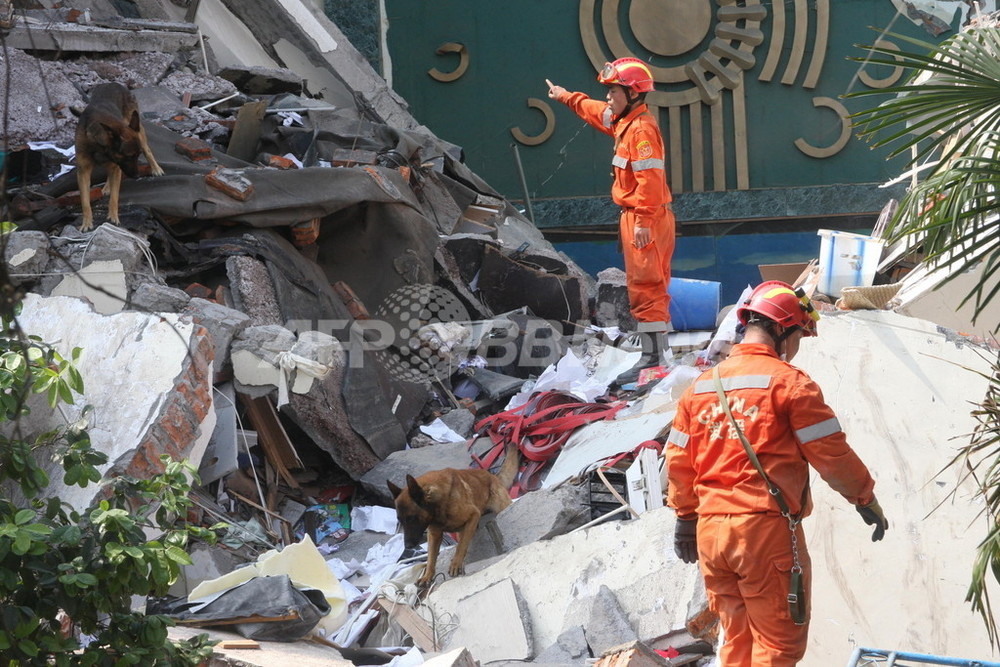 カエル大移動は四川大地震の前兆 当局まきこみ議論紛糾 写真2枚 国際ニュース Afpbb News