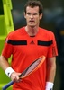 男子テニス、カタール・エクソンモービル・オープン（Qatar ExxonMobil Open 2014）シングルス2回戦。ポイントを失い落胆するアンディ・マレー（Andy Murray、2014年1月1日撮影）。(c)AFP/MARWAN NAAMANI