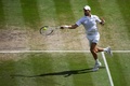 テニス、ウィンブルドン選手権、男子シングルス決勝。リターンを打つノバク・ジョコビッチ（2022年7月10日撮影）。(c)Daniel LEAL / AFP