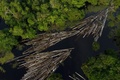 ブラジル北部アマゾナス州を流れる川に浮かぶ、憲兵隊が押収した木材（2020年7月16日撮影）。(c)Ricardo Oliveira / AFP