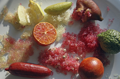 豪原産の「柑橘類のキャビア」、仏料理界から熱視線