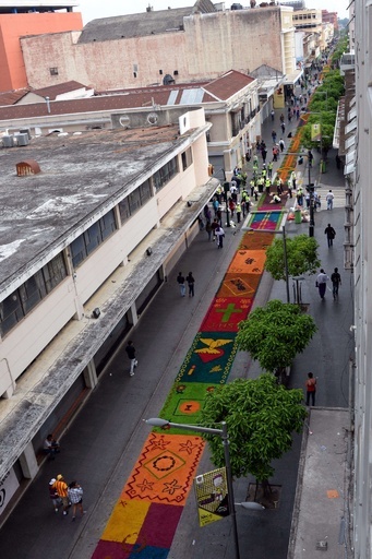 世界記録達成、全長2000メートル「おがくずカーペット」