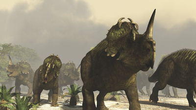 恐竜もがんになる、医学・恐竜の専門家らが共同研究で発見