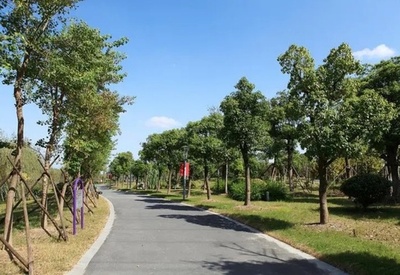 中国　この10年間で森林面積2200万ヘクタール以上増