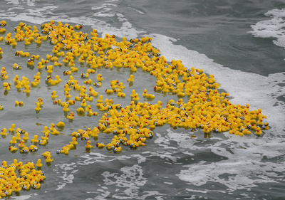 優勝はどのアヒル？米加州でラバーダックレース