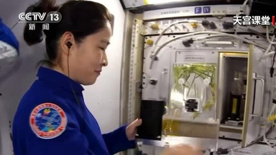 中国 10年で950余りの農作物主導品種を育成