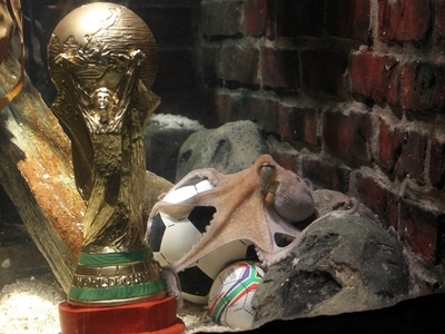 W杯8試合的中の占いタコに優勝トロフィー、ドイツ