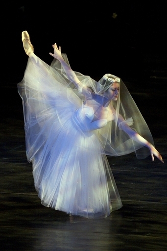 ヌード写真掲載で韓国のトップバレリーナに減給処分