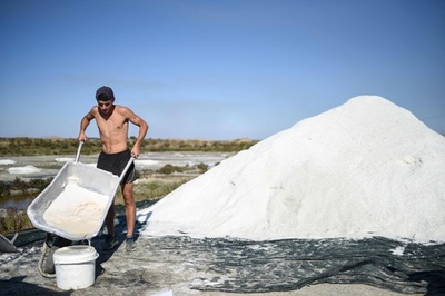 猛暑のおかげで生産急増、伝統の「ゲランドの塩」 フランス