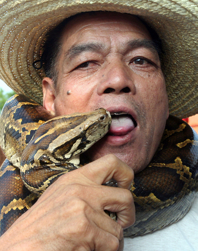 ヘビをあがめる伝統行事、中国福建省