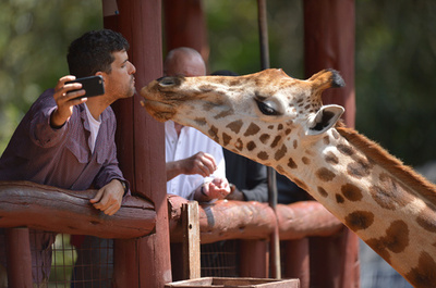 「証・共有・共感」