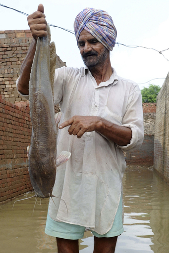 パンジャブ州で豪雨、サトラジ川流域で洪水 インド