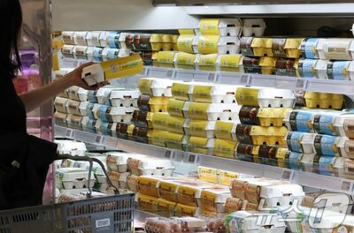 韓国で卵価格が異常高騰…わずか3カ月で26％上昇のナゾ