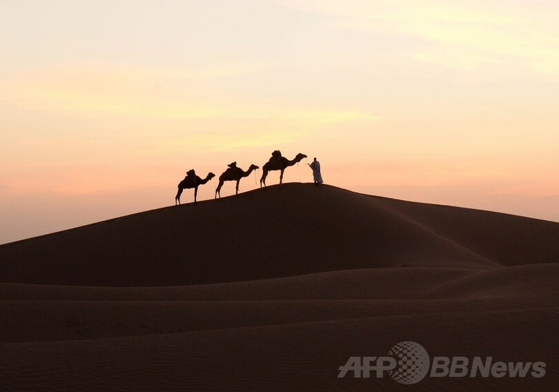 ちょこっと旅気分 夕日とラクダと砂漠の民 モロッコ 写真8枚 国際ニュース Afpbb News