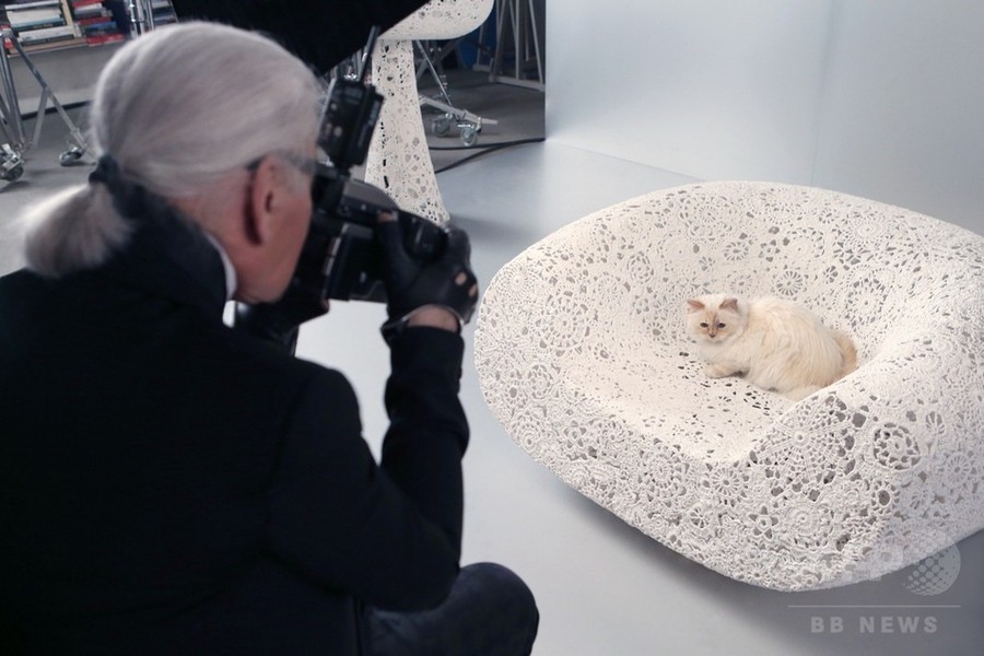 カールの愛猫が「シュウ ウエムラ」とコラボ！？