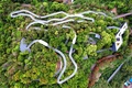 一体化された山・森・公園・緑地・広場（2022年4月3日撮影、資料写真）。(c)CNS/王東明