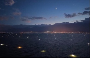 雲南・洱海で魚類の生態調整　秋の湖面に「星空」