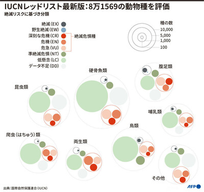 世界の絶滅危惧生物図鑑 : IUCNレッドリスト 世界の絶滅危惧生物図鑑 IUCNレッドリスト : 岩槻邦男 | HMV&BOOKS