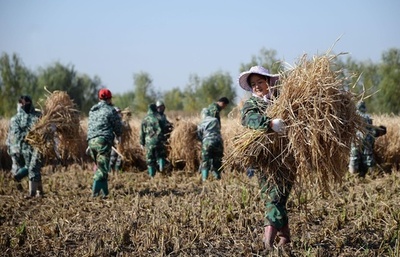 「ハイブリッド米の父」袁隆平氏の研究チーム、中国の未来科学大賞を受賞