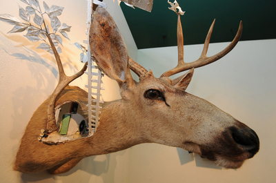 一風変わったはく製作品展、ロサンゼルスで開催