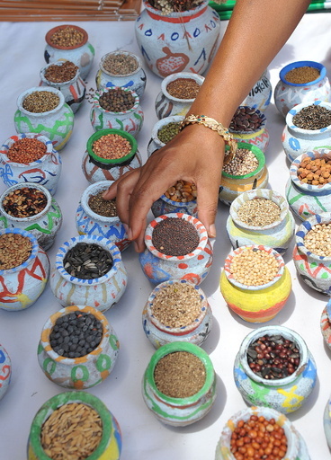 カレー香辛料で血圧降下、ラット実験で確認 インド研究