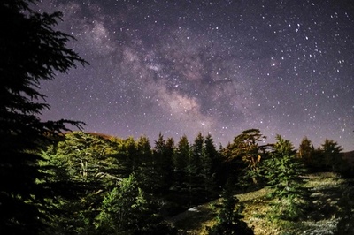 【今日の1枚】「神の杉」と天の川 レバノン