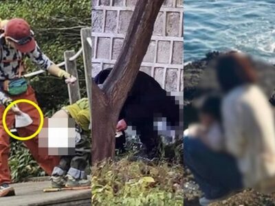 「安値ツアー」の代償なのか？…韓国各地で中国人観光客による「不適切行為」続発