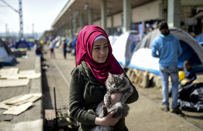 どんなときも猫と一緒、ギリシャのシリア人家族