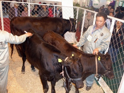 和牛の中国輸出が約20年ぶりに解禁へ、でも中国国内は「最近も和牛を食べたけど…」