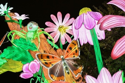 闇に浮かぶ巨大な昆虫 仏パリ植物園でイルミネーション