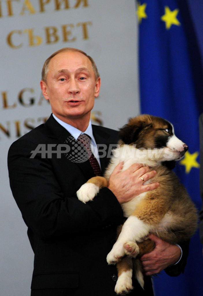 プーチン 愛犬