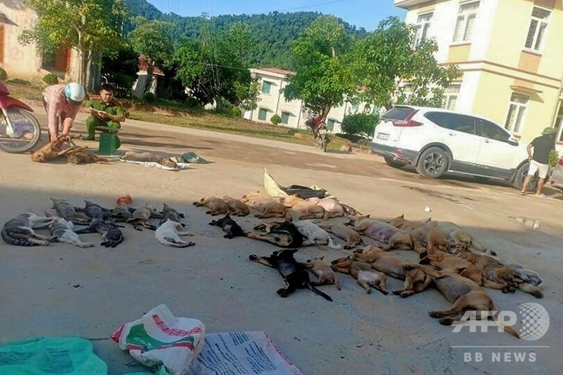 犬猫を毒殺し肉を販売か 「ペットさらい」の男女を逮捕 ベトナム