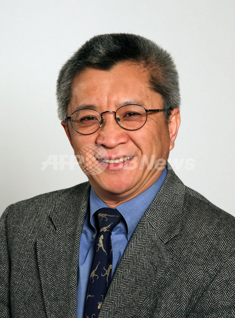 新種のほ乳類の化石を発見、耳の進化に手がかり 中国北東部