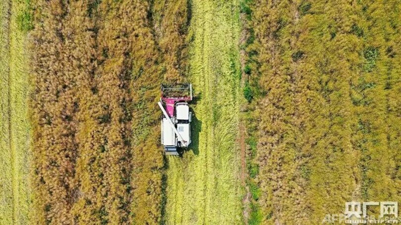 中国の1人当たりの食糧生産量、安定して450キロ以上