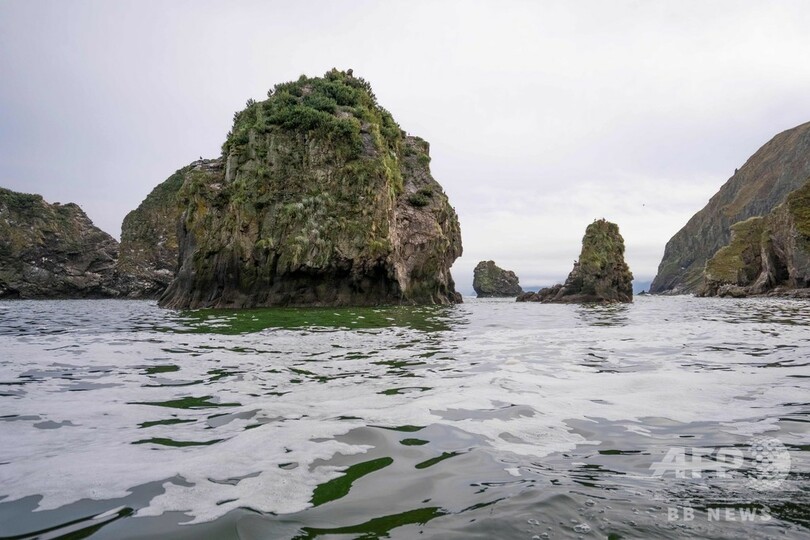 ロシア・カムチャツカ沖で海洋生物大量死、軍施設からロケット燃料流出か