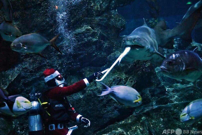 水中サンタからプレゼント！ タイ・バンコク