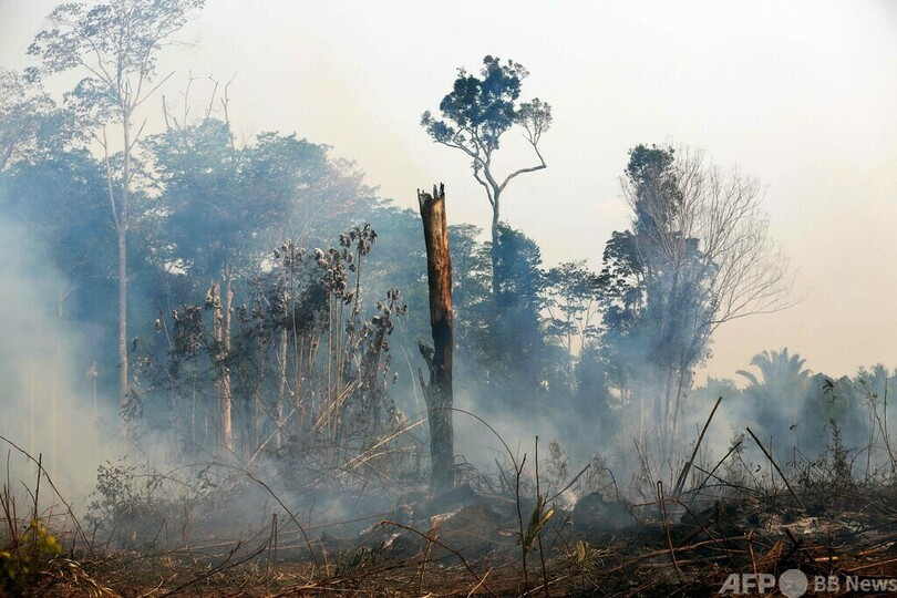 アマゾン森林火災、9月前半に記録的増加率 1日平均1400件