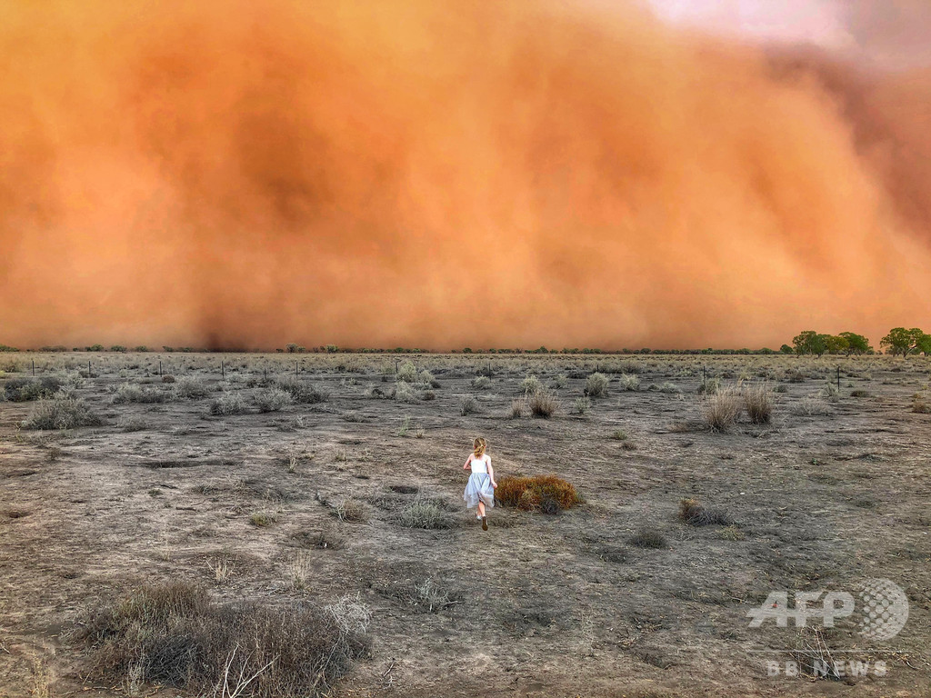 今度は大砂嵐に巨大ひょうが直撃 森林火災で疲弊した豪東部 写真4枚 国際ニュース Afpbb News