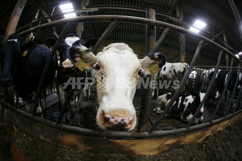 気候変動で家畜の病気が増加、人間への危険も 国際獣疫事務局 気候変動で家畜の病気が増加、人間への危険も 国際獣疫事務局