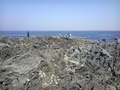 パキスタン南西部で24日に発生した大地震により同国沖に出現した島には、興味をひかれた地元住民らが次々と上陸している。

国立海洋研究所（National Institute of Oceanography）の海洋生物学者によると、島は幅300フィート（約91メートル）、長さ120フィート（約37メートル）ほど。標高は18～21メートルで、沿岸から200メートルほど離れた場所に出現。専門家らによると、強い揺れが発生した際に地中のメタンガスが土壌を噴き上げて形成される「泥火山」の可能性が高く、数か月で消滅する可能性もあるという（2013年9月25日撮影）。(c)AFP/Behram BALOCH