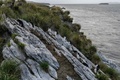 南大西洋の英領フォークランド諸島のイワトビペンギン（2019年10月9日撮影）。(c)Pablo PORCIUNCULA BRUNE / AFP