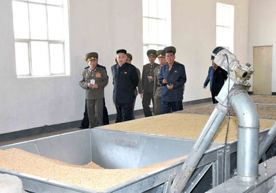 北朝鮮の口蹄疫、韓国が支援申し出