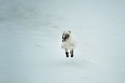 ちょこっと旅気分、スバルバル諸島の大自然