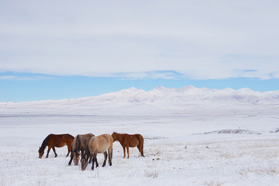 中国・新疆ウイグル自治区で初雪
