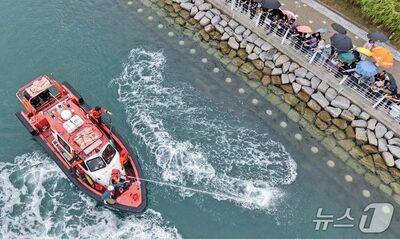 韓国・釜山の水路に10日超滞在のサメ、沖合への誘導にまた失敗
