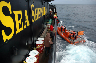 反捕鯨団体シー・シェパード、「悪臭弾」で捕鯨船を攻撃