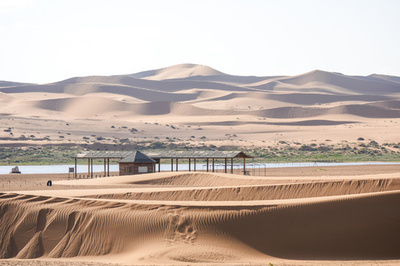 【三里河中国経済観察】中国、「緑の長城」で砂漠を包囲